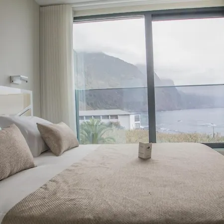 Calamar São Vicente