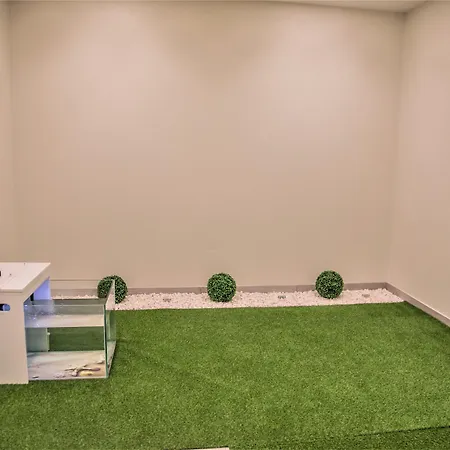 Calamar 3* Сан-Висенти