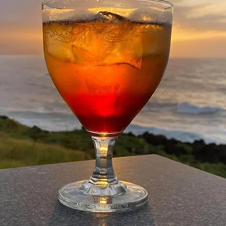 Calamar São Vicente