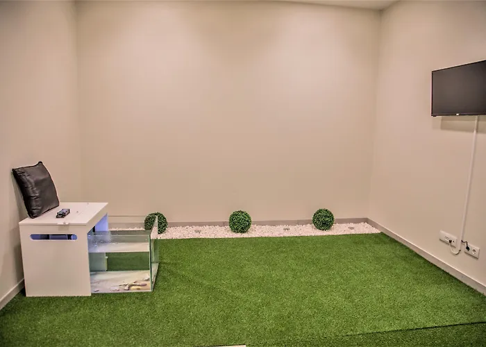 Calamar 3* Sao Vicente (Madeira)