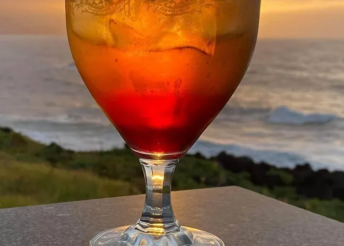 Calamar São Vicente